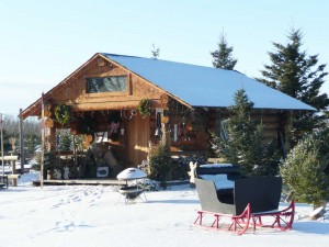 Our Cabin