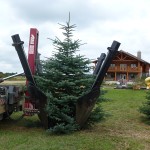 tree spade - planting at log house